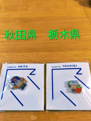 토요코인 아키타현 도치기현 핀 배지 세트