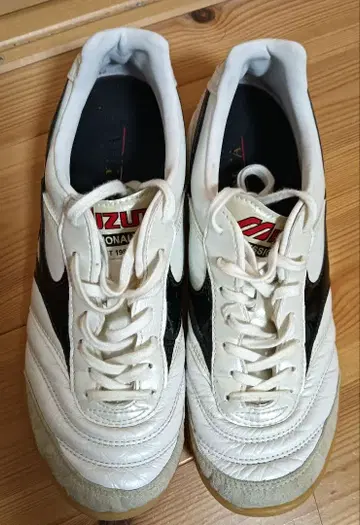 모렐리아 IN 24.5 풋살 실내 축구화