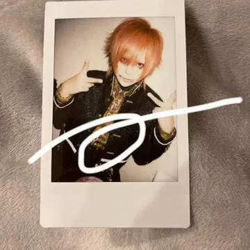 마모 폴라로이드