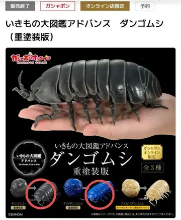 2종 세트 생물대도감 어드밴스 공벌레 중도장판