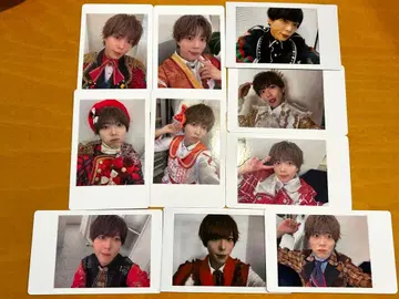 팬더 드래곤 팟치 하피카