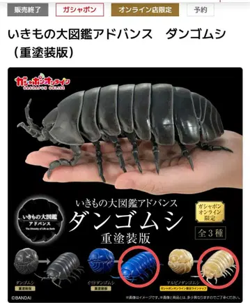 생물대도감 쥐며느리 중 페인팅판 알비노 쥐며느리 가샤폰 온라인