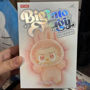 POP MART Big into Energy 러브브