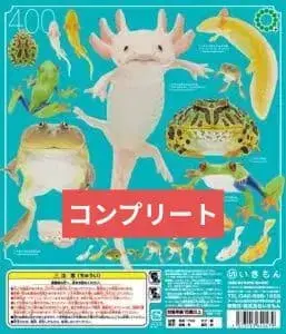 네이처 테크니컬러 mono+ 우파루파 컴플리트