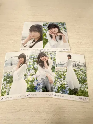 노기자카46 엔도 사쿠라 브로마이드