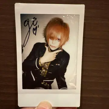 R 지정 마모 폴라로이드