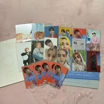 SEVENTEEN 에스크프스 승철 트레이딩 카드 묶음 판매