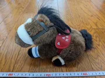 카네츠 크로스 제37회 AJCC ATANTI 2S (대) 사이즈 경마