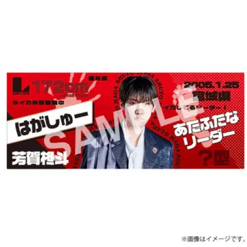 Lienel 하가 슈토 타월