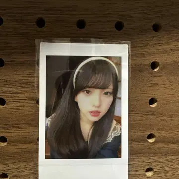 팬텀 시타 괴기 나비 사진집 이벤트 랜덤 폴라로이드 모나