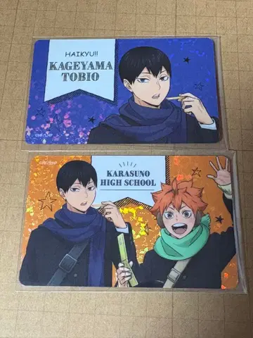 하이큐 코스모 월드 홀로그램 카드 카게야마 히나타