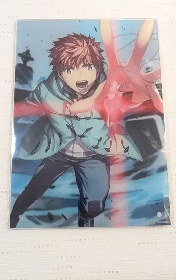 Fate /stay night 에미야 시로 아크릴 아트 보드