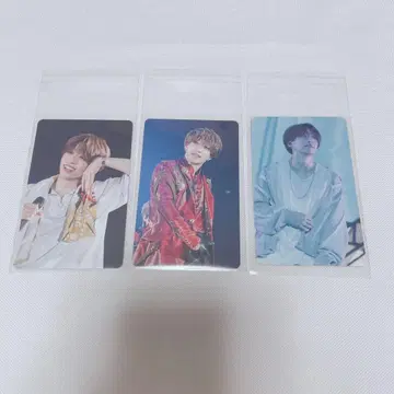 우라시마사카타센 여름 투어 포토 카드 센라