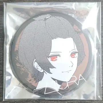 이레이스 리우라 CD 특전 Irregular Record B반 캔뱃지