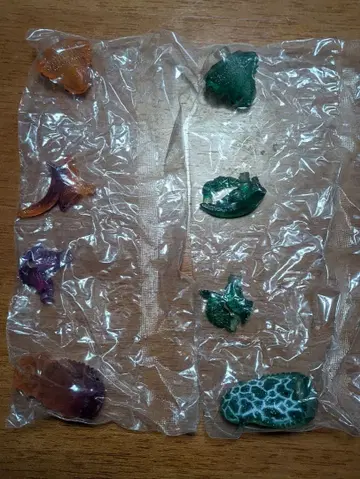 레어 선착순 후토아곤 2종