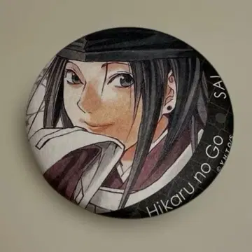 히카루의 바둑전 사이