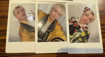 1 팬더 드래곤 파라곤 하피카 폴라로이드 요타