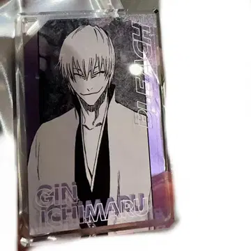BLEACH 도미노풍 아크릴 키링 컬렉션 이치마루 긴
