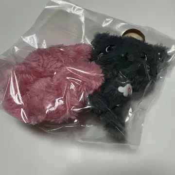 NCT WISH 1st CONCERT TOUR 서울 콘서트 리쿠 스크런치