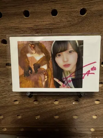 팬텀 시타 괴기 나비 사진집 이벤트 랜덤 폴라로이드 모나 사인 포함