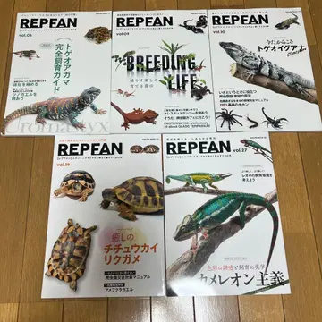 REPEAN 시리즈 5권 세트