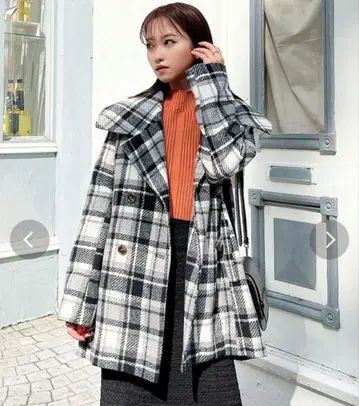 리젝시 빅 칼라 숏코트