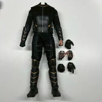 핫토이즈 1/6 피규어 호크아이 로닌 검 소체