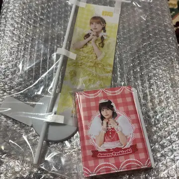 하야세 노엘 츠키아시 아마네 노보리 폴라로이드 파일