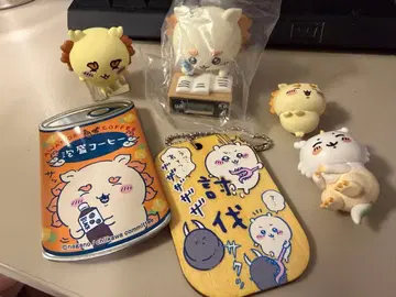 치이카와 시사 6점 세트