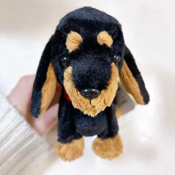 닥스훈트 봉제 인형
