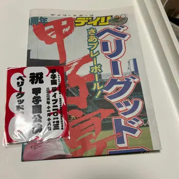 베리굿맨 미니 카이로 신문