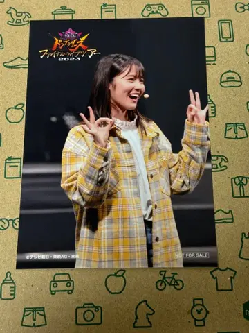 돈브라더스 파이널 스테이지 브로마이드 생사진 키토 하루카 시다 호박