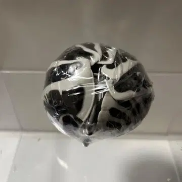 생물대도감 어드밴스 공벌레 (중채색판) 제브라