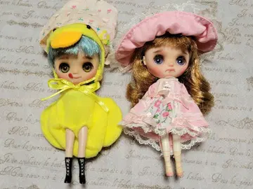 커스텀 브라이스 2체 세트