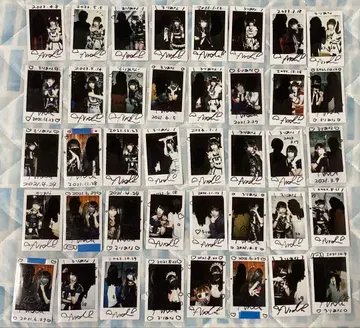 슈레견 나라쿠 투샷 폴라로이드 40장