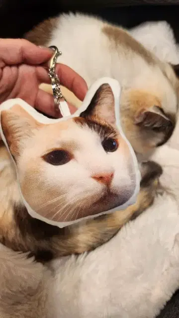 푹신푹신 소리 얼굴 키링 카라비너 포함