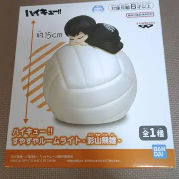 하이큐 스야스야 룸 라이트 카게야마 토비오