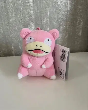 포켓몬 마스코트 퐁퐁 돈칸 야앙? 야돈