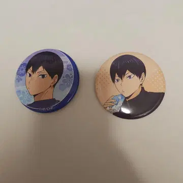 하이큐!! 카게야마 토비오