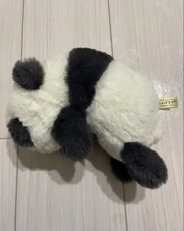 굼벵이즈 (Regular) 팬더