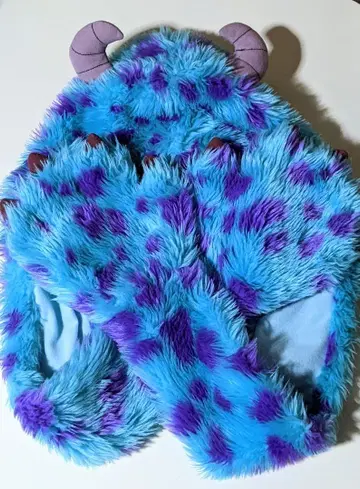 디즈니 샐리 팬캡