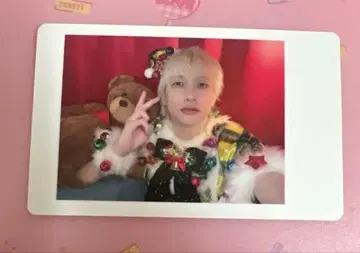 팬더 드래곤 요타 성탄 해피카 파라곤