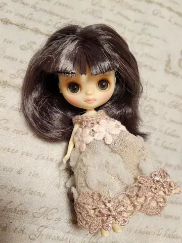 커스텀 브라이스 아이시 인형