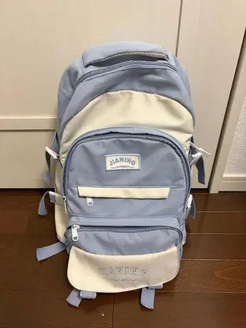 한국 스타일 백팩 스카이블루