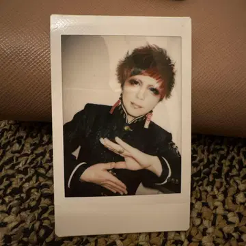 R지정 Z 폴라로이드