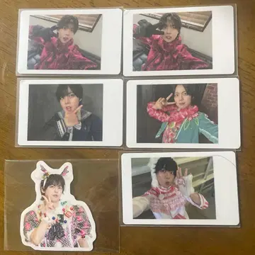 팬더드래곤 나기 하피카 스티커