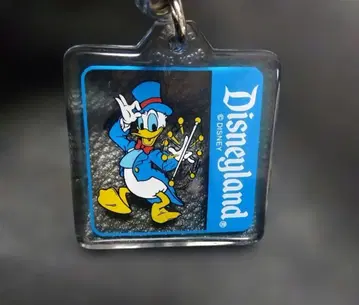디즈니랜드 도널드 덕 아크릴 키링 빈티지