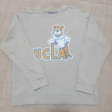 UCLA 프린트 트레이닝복 맨투맨 M 사이즈 곰 베이지