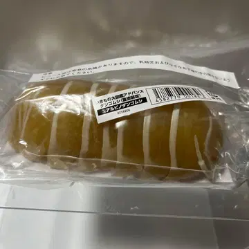 생물대도감 어드밴스 쥐며느리 (중 페인팅판) 알비노 쥐며느리 온라인판