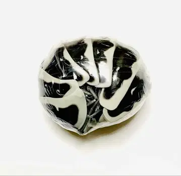 생물대도감 어드밴스 공벌레 제브라 공벌레 (캡슐판)